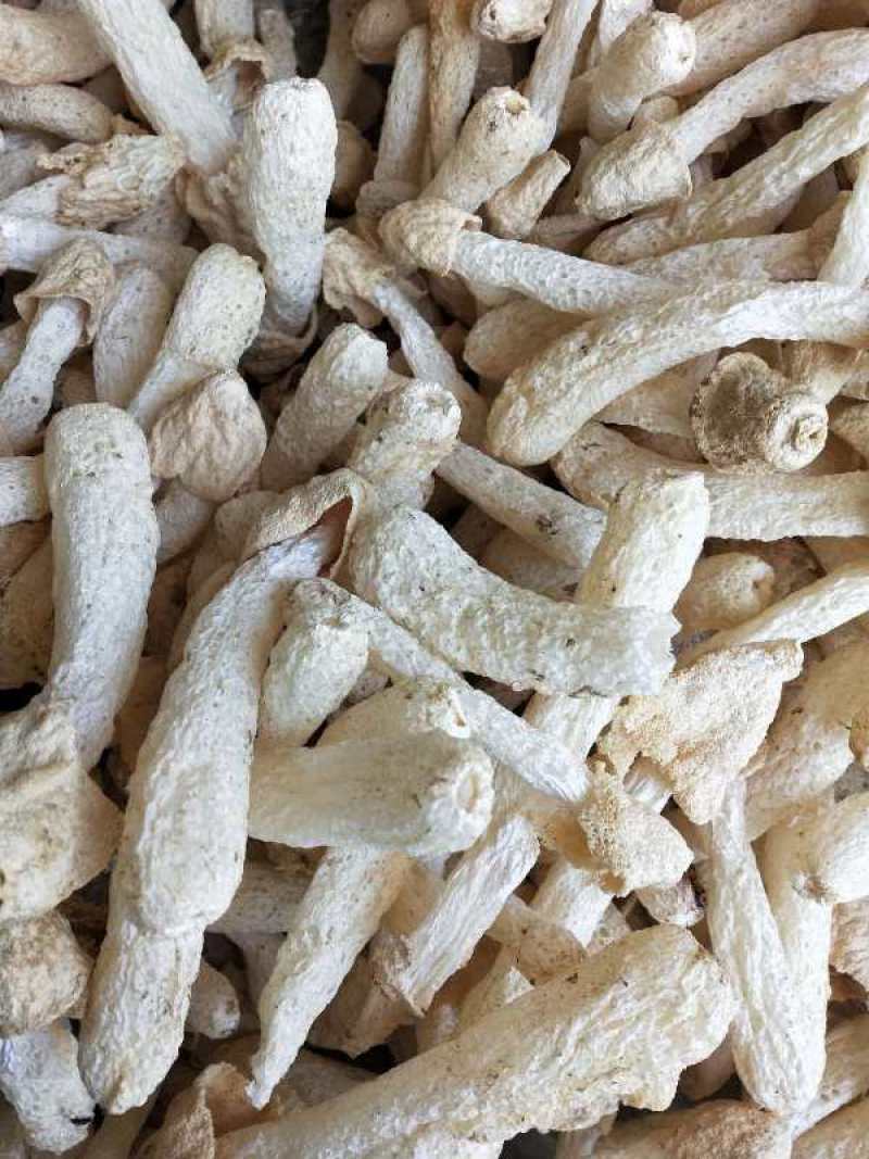 竹荪球头茬竹荪10～15福建古田特产精装货