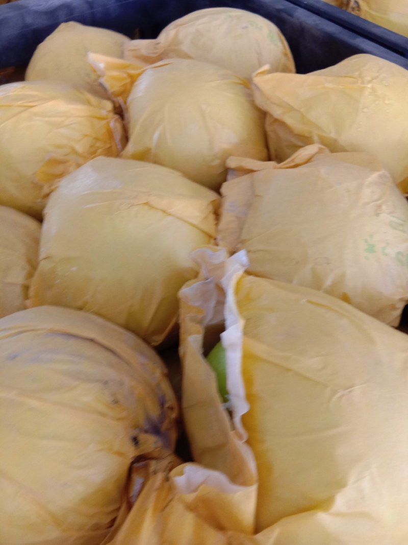 精品苏脆一号梨，翠冠梨518梨供应电商，各大水果交易市场