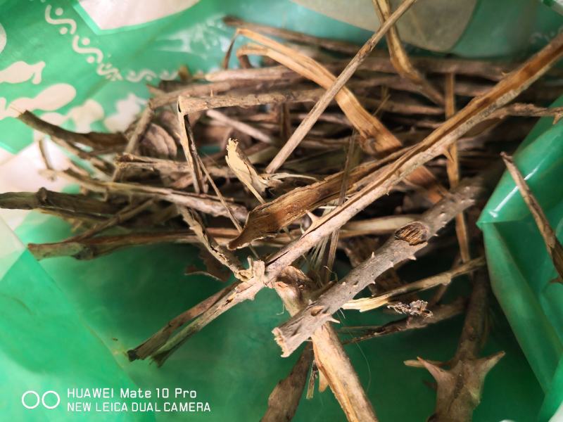 楤木河北干货2斤起包邮量大从优