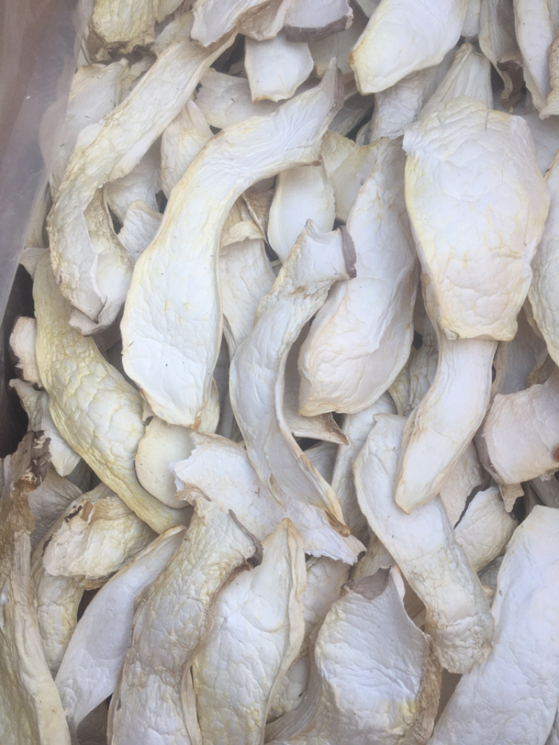 杏鲍菇片产地批发量大价优按需加工分选量大价优