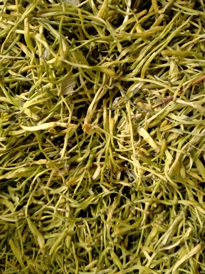 金银花！大货批发，一手货源，价格优！！！！