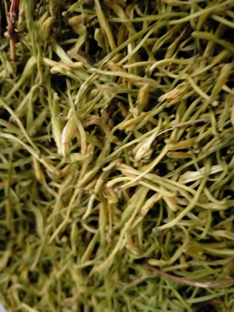 金银花！大货批发，一手货源，价格优！！！！