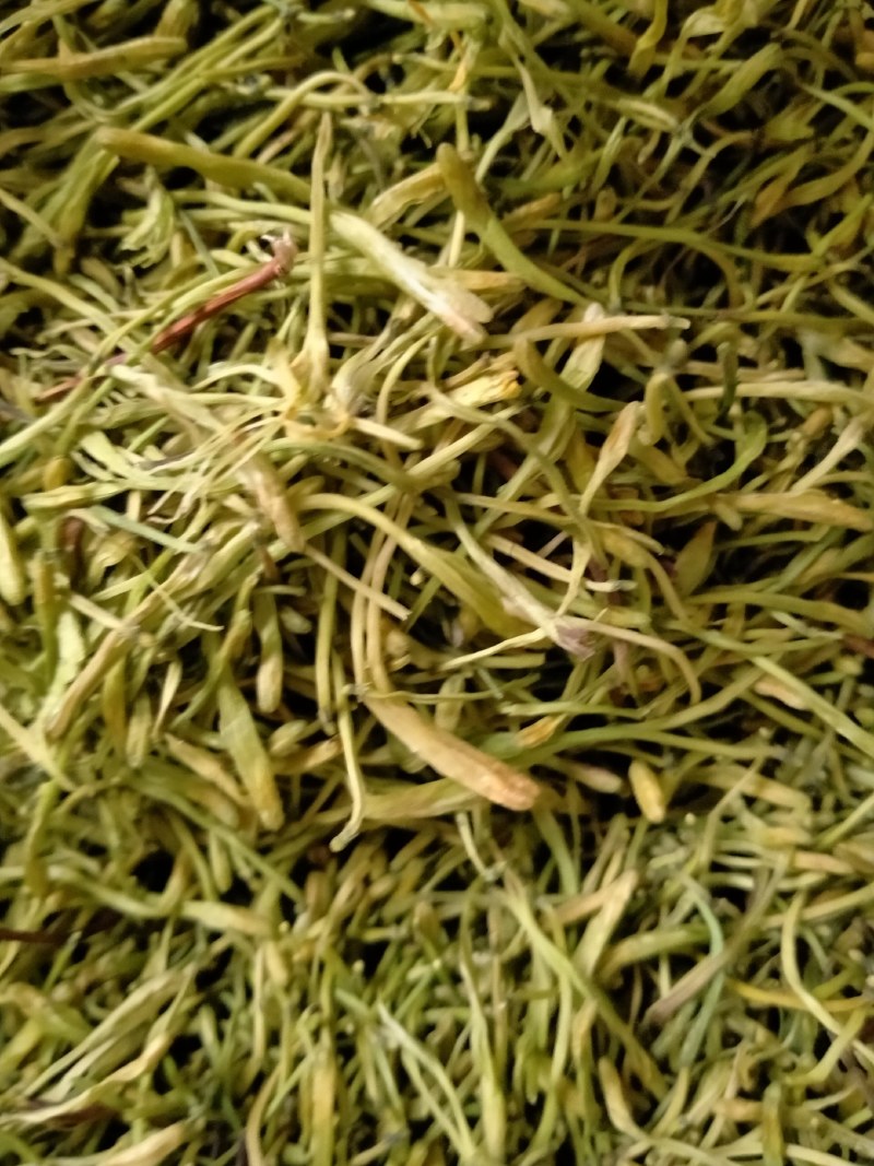 金银花！大货批发，一手货源，价格优！！！！