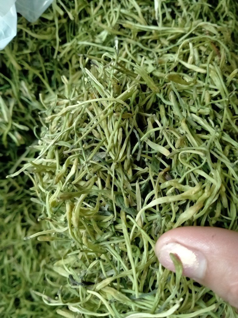 金银花！大货批发，一手货源，价格优！！！！