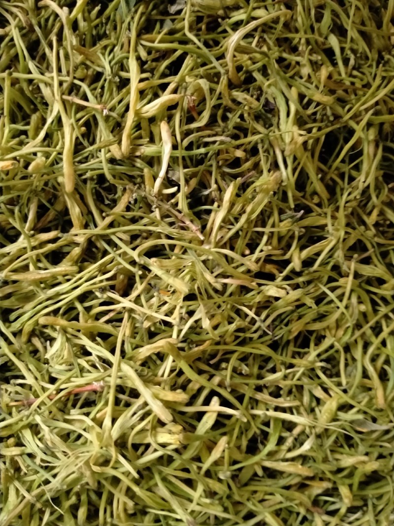 金银花！大货批发，一手货源，价格优！！！！