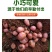 云南高原红皮土豆新鲜现挖洋芋黄心小土豆马铃薯老品种5斤