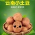 云南高原红皮土豆新鲜现挖洋芋黄心小土豆马铃薯老品种5斤