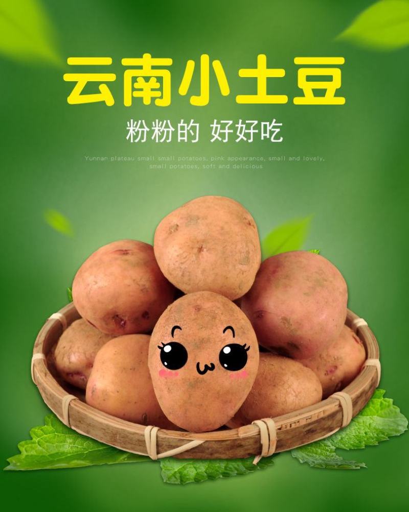 云南高原红皮土豆新鲜现挖洋芋黄心小土豆马铃薯老品种5斤