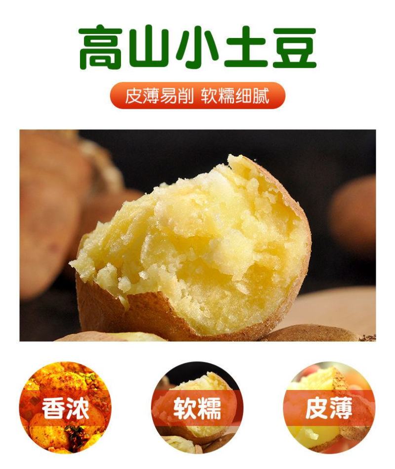 云南高原红皮土豆新鲜现挖洋芋黄心小土豆马铃薯老品种5斤