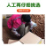 云南高原红皮土豆新鲜现挖洋芋黄心小土豆马铃薯老品种5斤