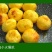 云南高原红皮土豆新鲜现挖洋芋黄心小土豆马铃薯老品种5斤