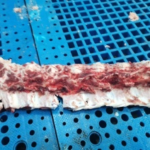 牛脊骨，牛脖骨，牛蝎子骨，屠宰场直供，少肉，适合熬汤