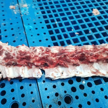 牛脊骨，牛脖骨，牛蝎子骨，屠宰场直供，少肉，适合熬汤