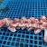 牛脊骨，牛脖骨，牛蝎子骨，屠宰场直供，少肉，适合熬汤