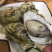 鲜活全壳生蚝壳薄肉肥每天新鲜货源稳定长期有货