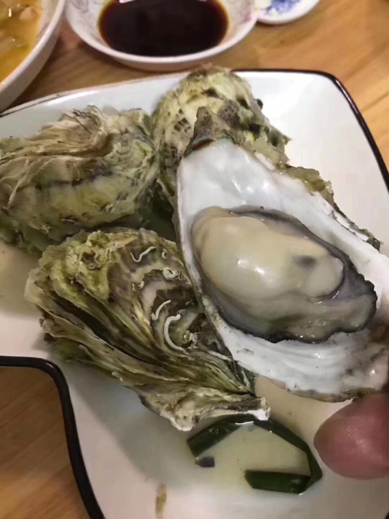 鲜活全壳生蚝壳薄肉肥每天新鲜货源稳定长期有货