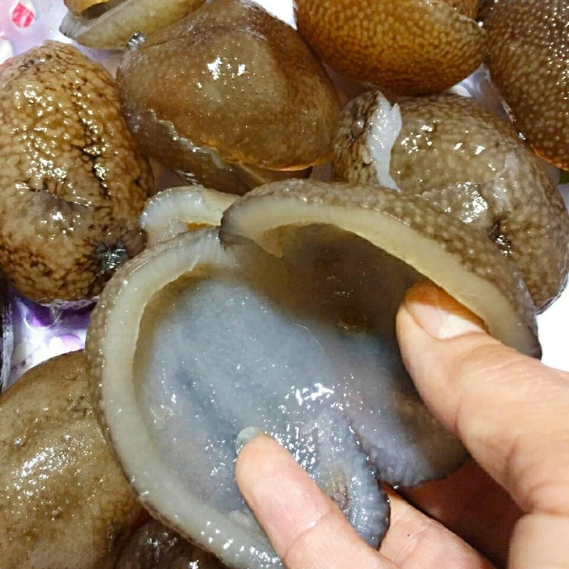 海参珍珠球参泡发率高营养美味（干货88元1斤包邮）