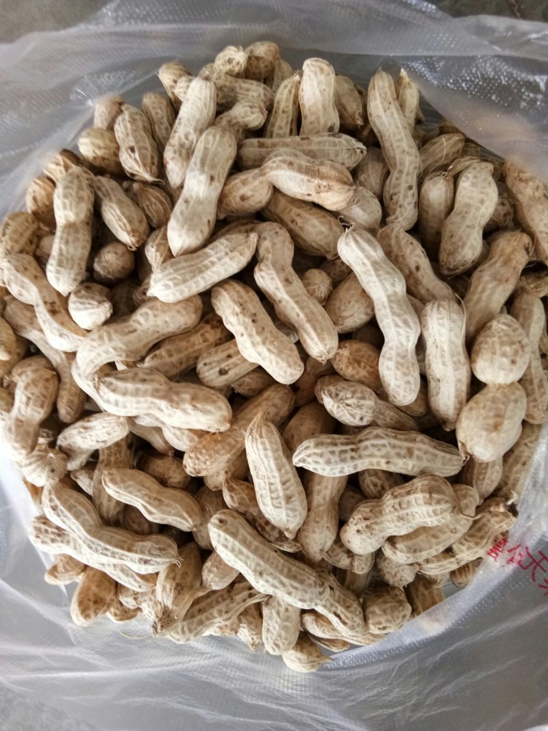 花生（新鲜红米花生现货）