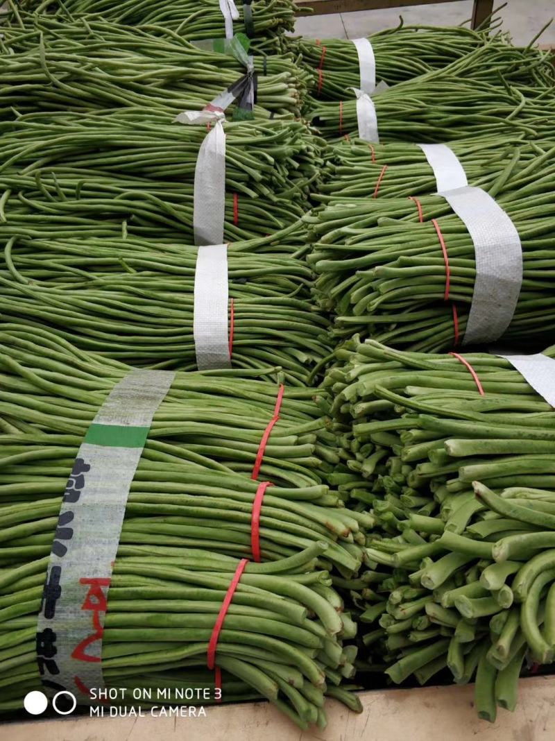 青豇豆只做精品全国代发（商超,市场货,腌菜厂）**
