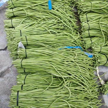 青豇豆只做精品全国代发（商超,市场货,腌菜厂）**