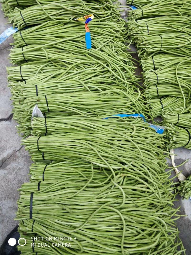 青豇豆只做精品全国代发（商超,市场货,腌菜厂）**