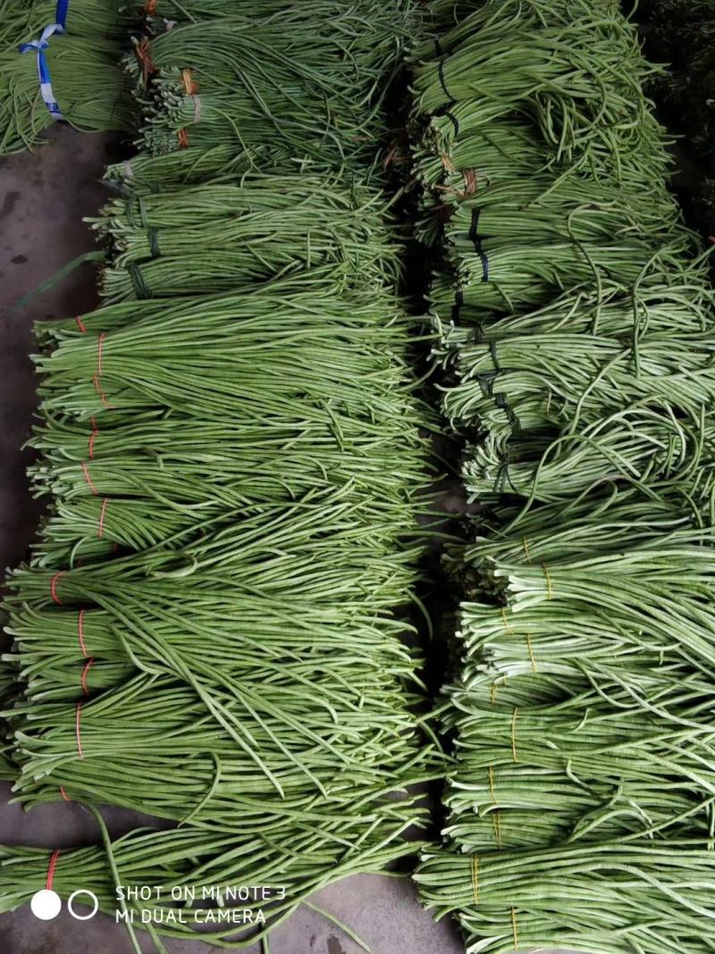 青豇豆只做精品全国代发（商超,市场货,腌菜厂）**