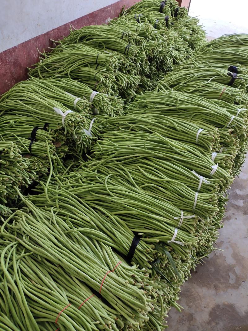 青豇豆只做精品全国代发（商超,市场货,腌菜厂）**