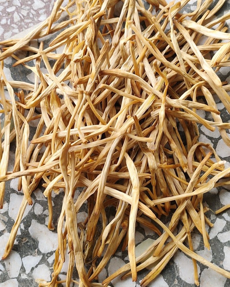 大荔黄花菜2025年新品直条托盘菜基地直发量大从优