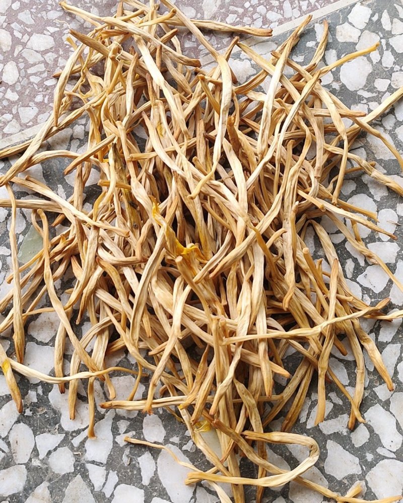 大荔黄花菜2025年新品直条托盘菜基地直发量大从优