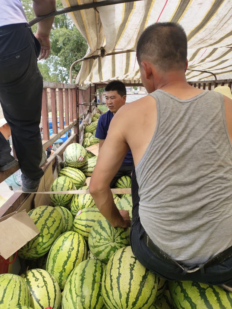 西瓜，诚信第一，本人做西瓜代办十年有余，欢迎新老顾客订
