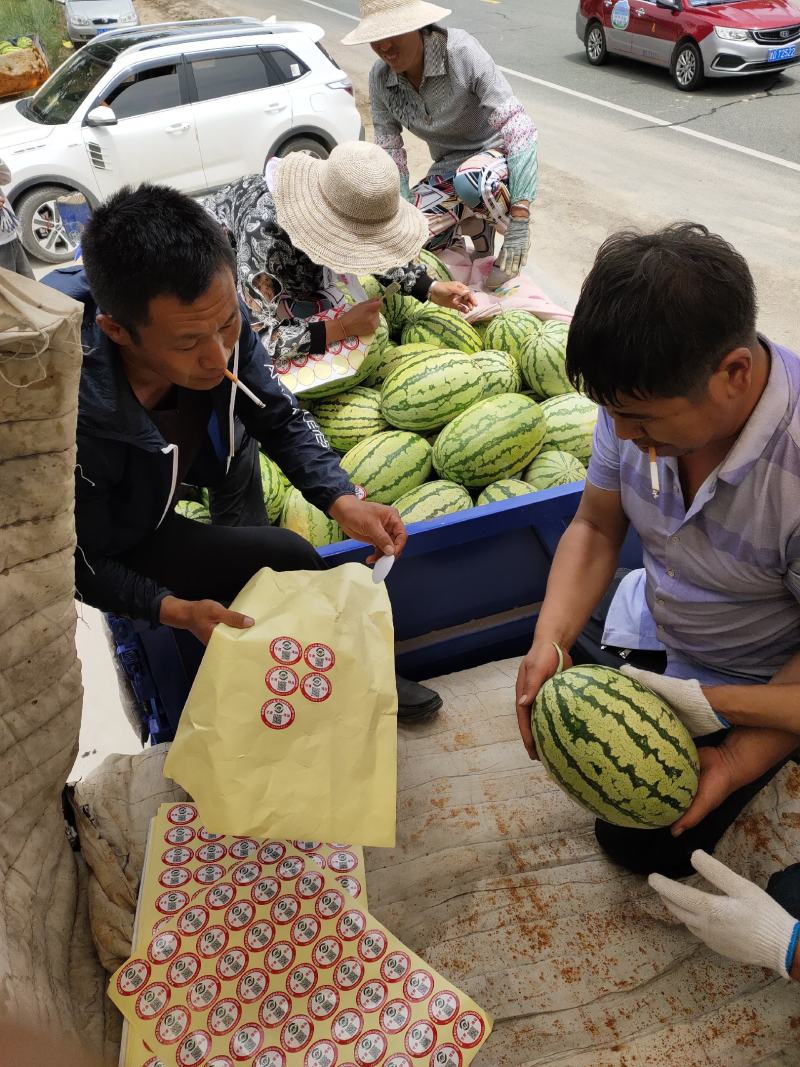 西瓜，诚信第一，本人做西瓜代办十年有余，欢迎新老顾客订