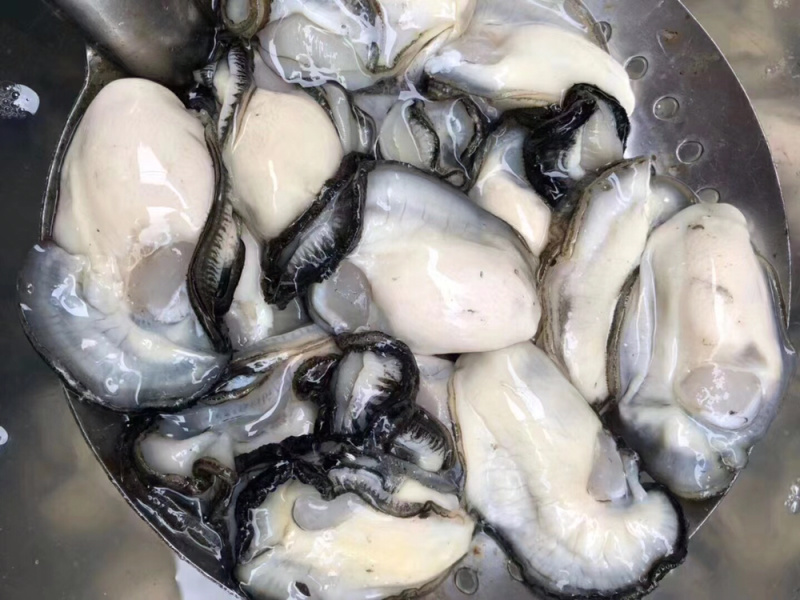 鲜活牡蛎新鲜全壳生蚝壳薄肉肥每天现捞现发