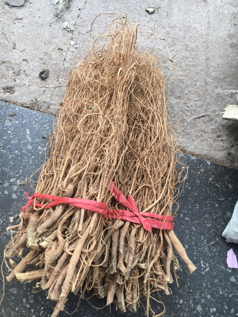 石参根石参根量大包邮中药材批发零售