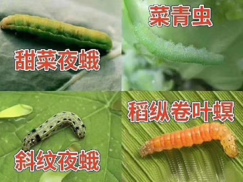 青虫夜娥杀虫剂甲氨基苯甲酸盐