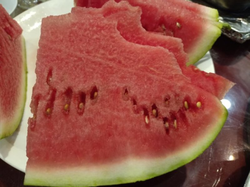 宁夏硒砂瓜