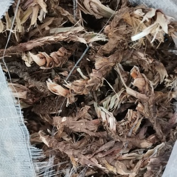 石菖蒲