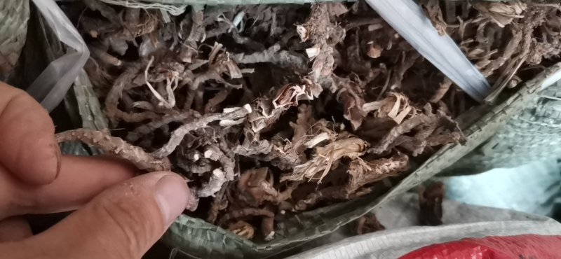 石菖蒲