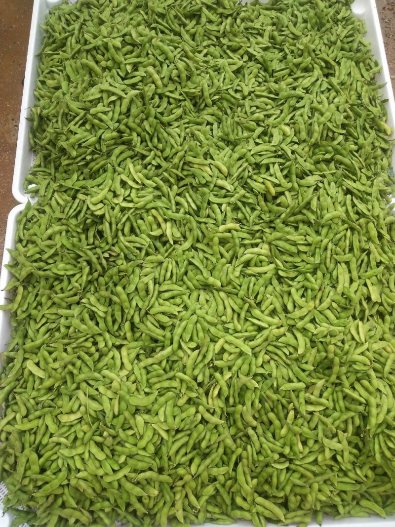毛豆大量上市，要的赶快