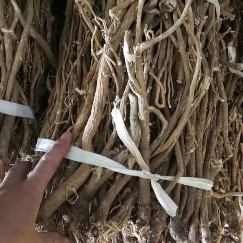 【精选】野生黄芪黄芪可切片产地直销产地批发包邮。