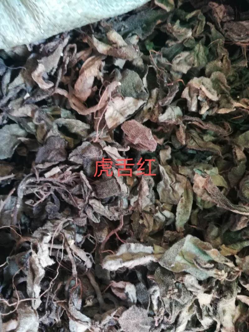 虎舌红（干货）虎舌红（干货）
