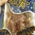 精品印尼小刺参（支持代发）