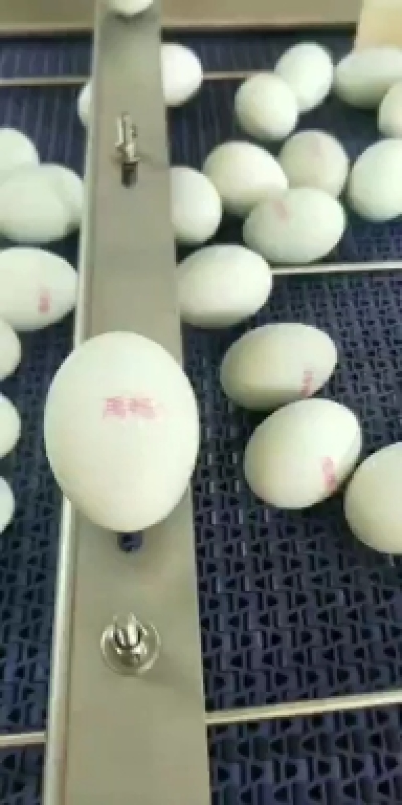 烤鸭蛋流油散装鸭蛋厂家直销咸鸭蛋批发团购