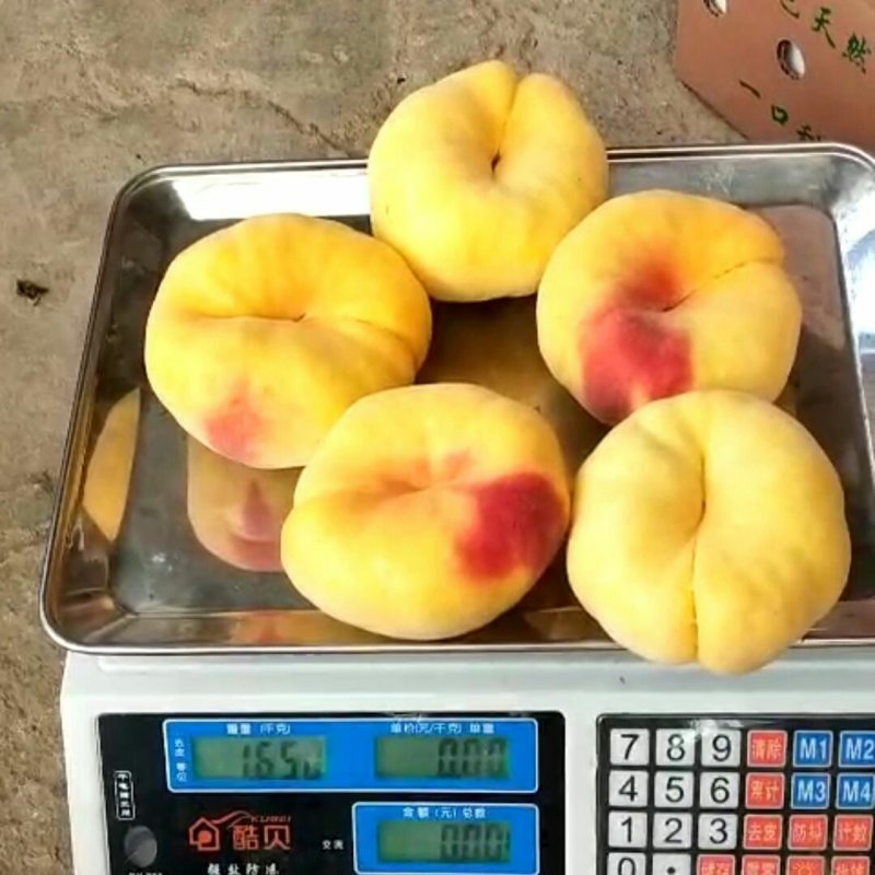 油潘桃