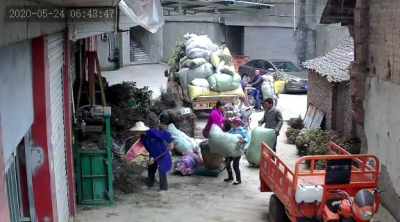 三年以上陈艾存放三年以上时间现货80吨元现货