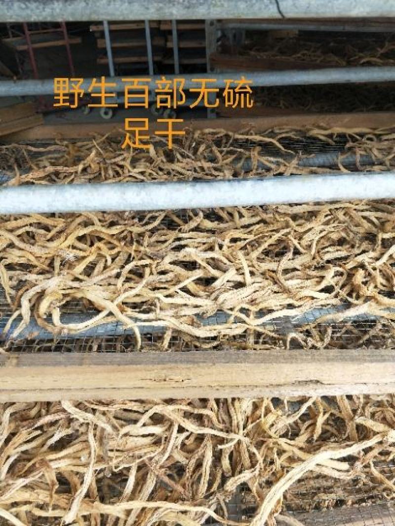百部
