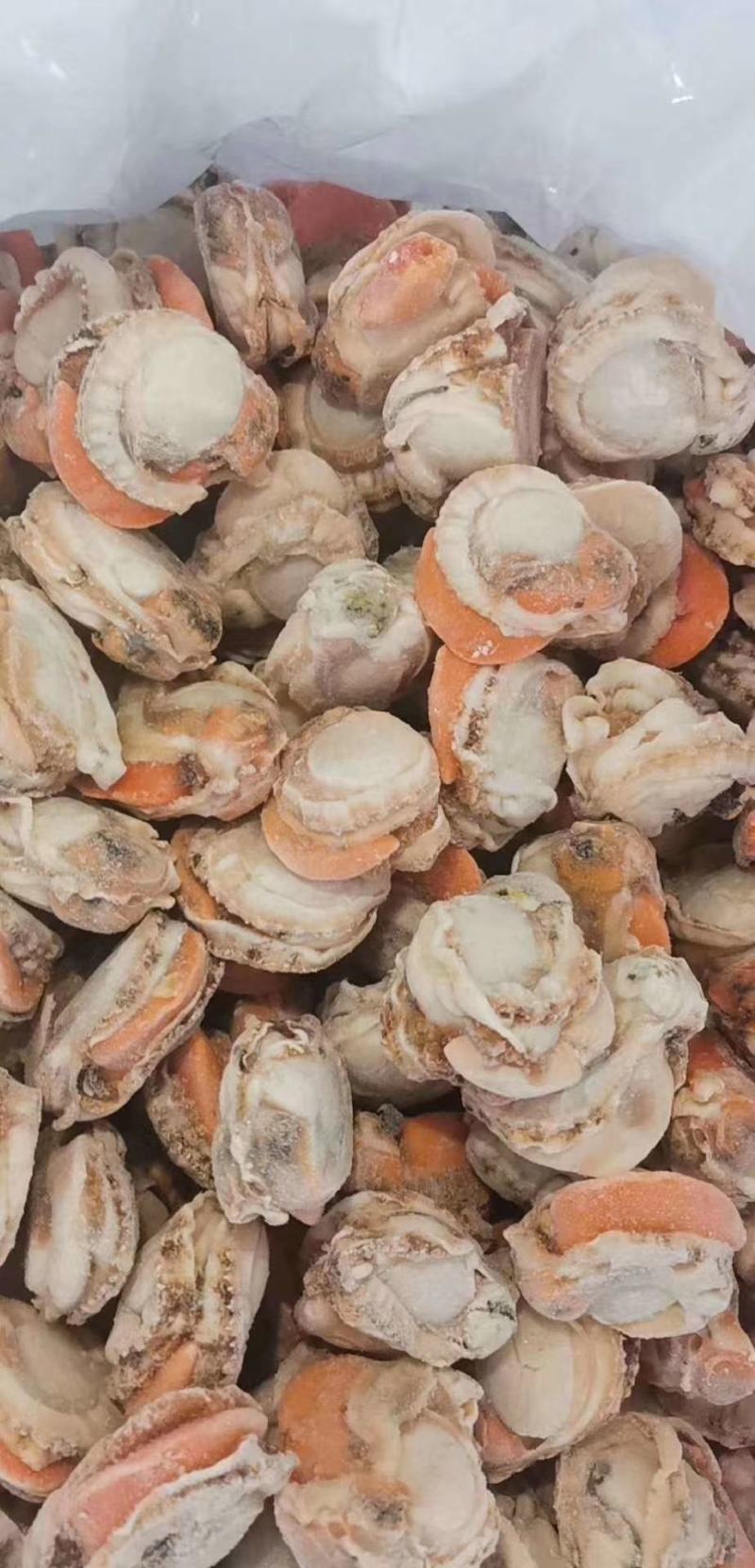 现剥特大号扇贝肉去鲜货衣海鲜新鲜虾夷扇肉