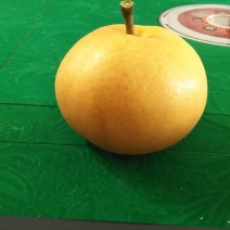 梨子