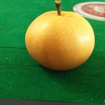 梨子