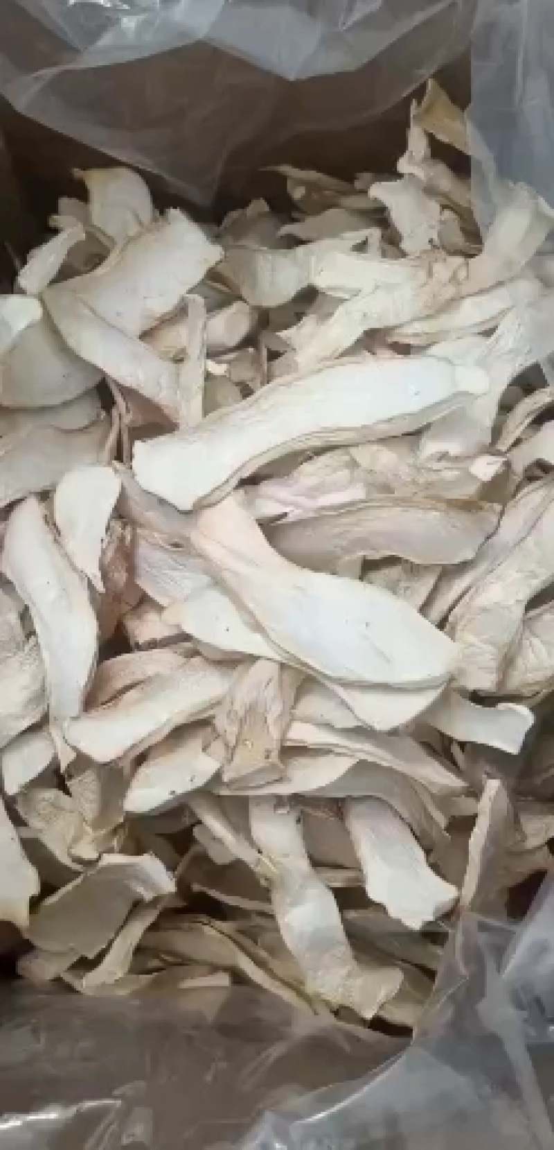 蘑菇批发货好，价格实惠，