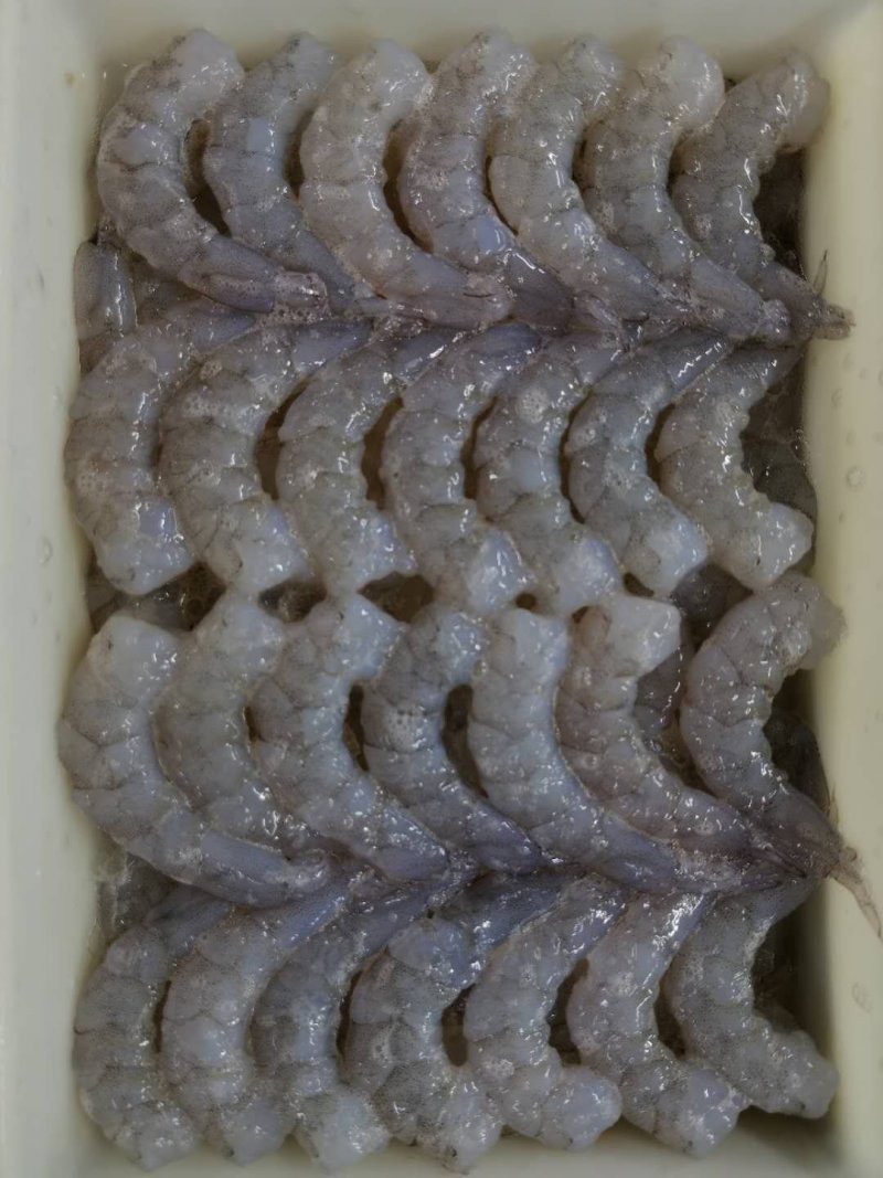 青虾仁加工定制，干冰原料